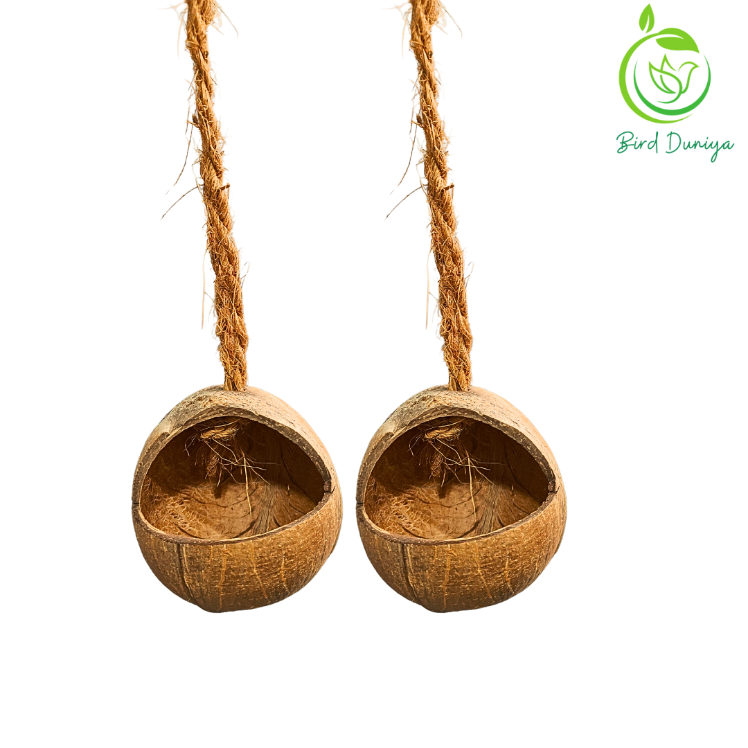 Bird Duniya coconut Shell Bird Feeder by Bird Duniya (Pack of 2)