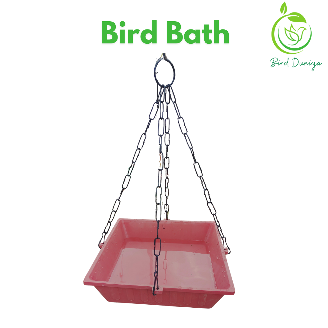 Bird bath :Plastic Hanging- Lightweight
