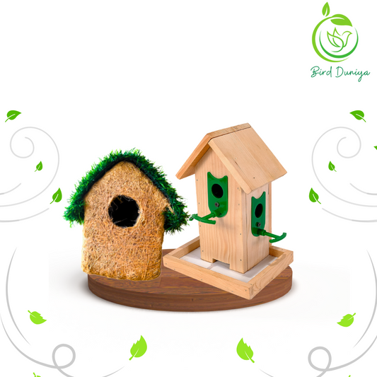 Wooden Bird feeder and nest combo