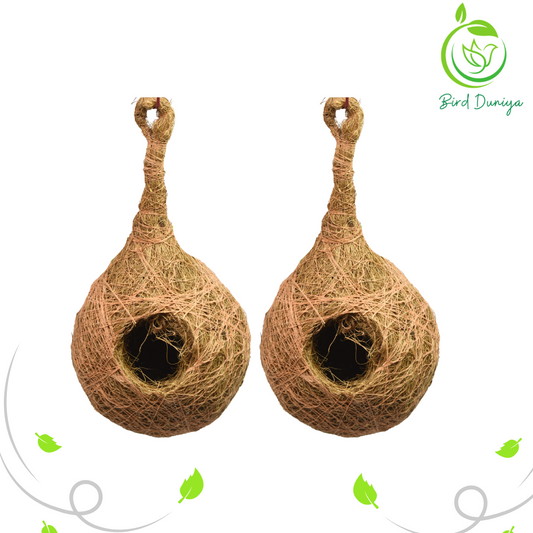 Coir Bird Nest ( Pack of two)