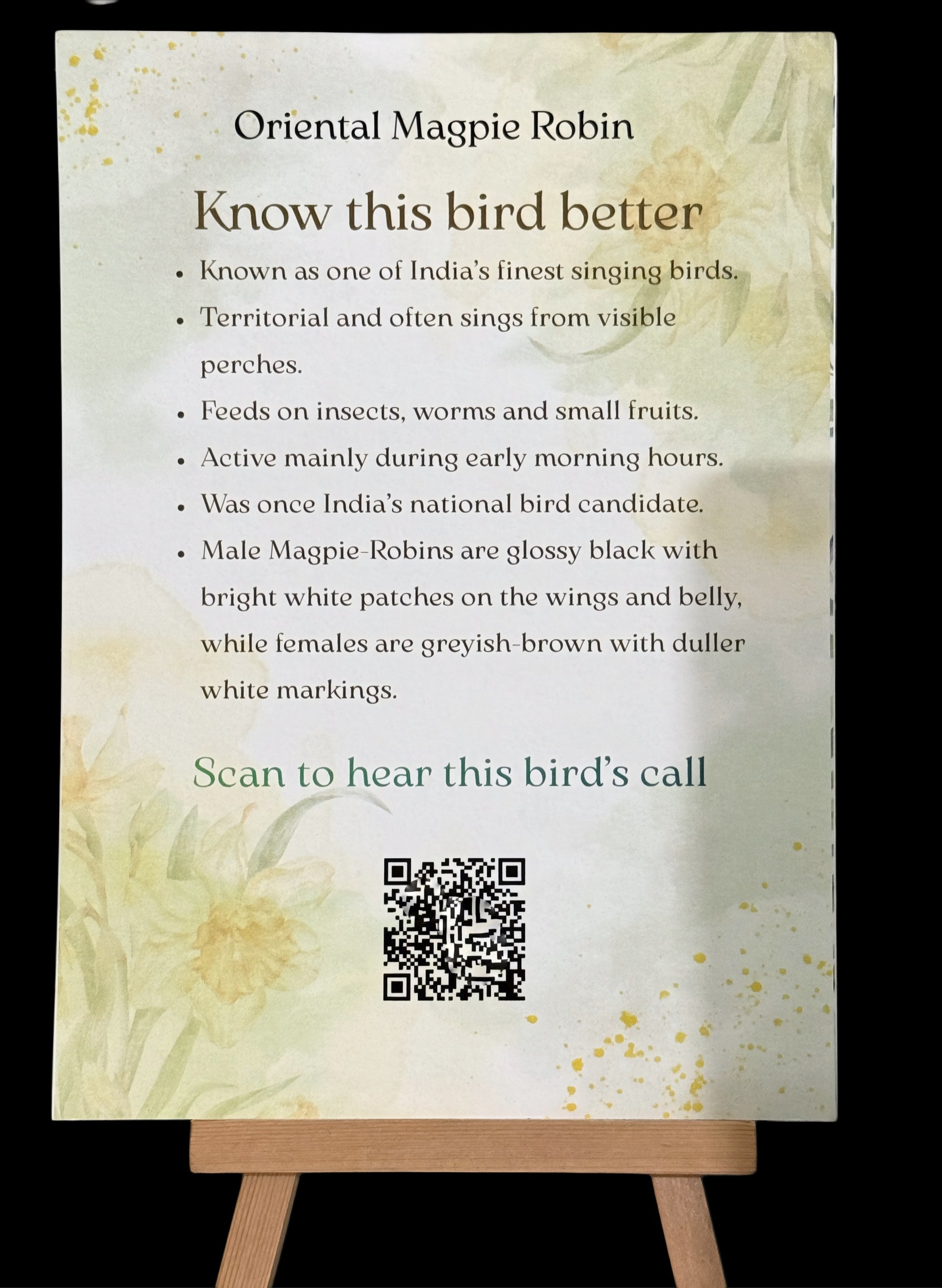 calendar, nature calendar, calendar2026, asthetic calendar, birdwatching, kid friendly, educational, bird duniya