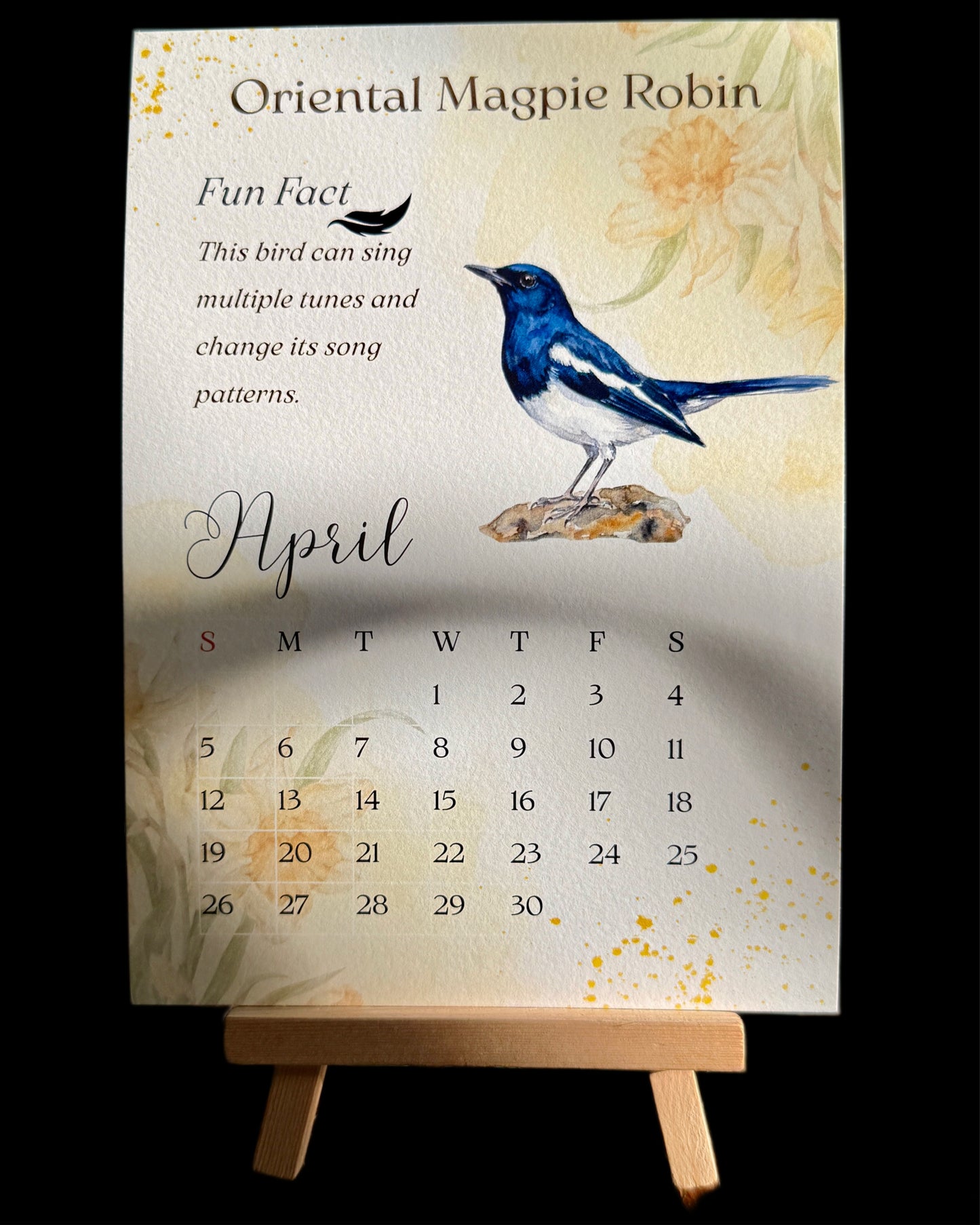 calendar, nature calendar, calendar2026, asthetic calendar, birdwatching, kid friendly, educational, bird duniya