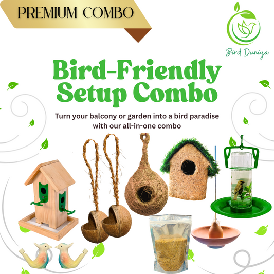 wooden bird feeder, combo, best, nest, birdhouse, waterfeeder, viral explore, teracotta bird feeder, bird food
