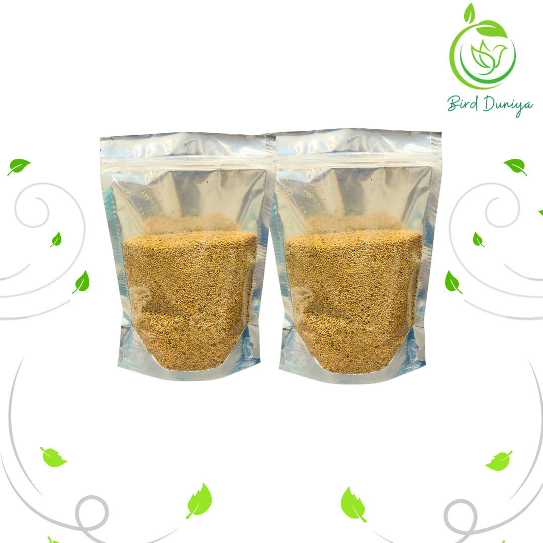 Bird Duniya Sparrow food- Foxtail Millets(900gm) Also called as(Rala, Kang, Kangani)