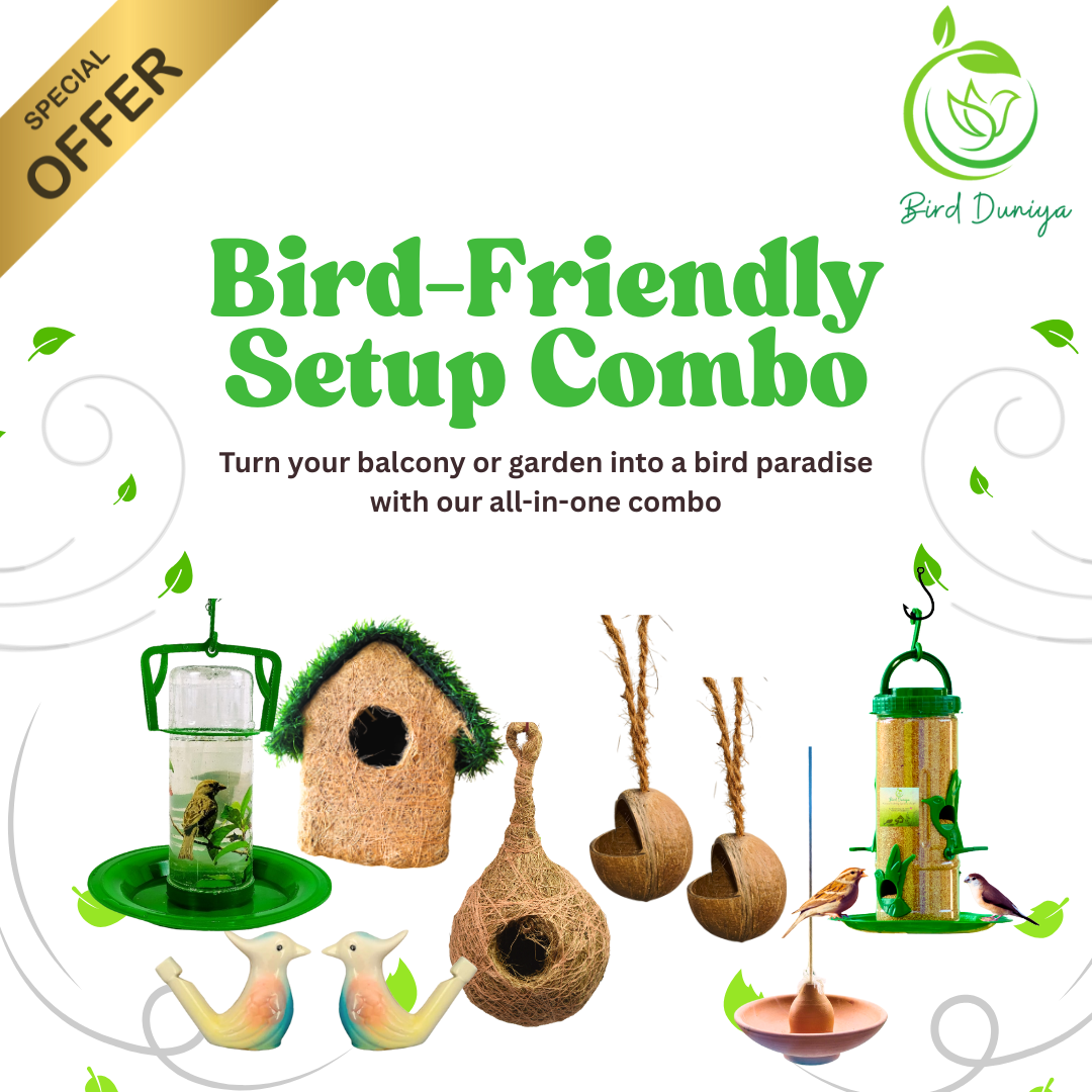 Bird-friendly setup combo with various bird-related products, birdfeeder, nest , whistles, coir nest, coconut shell feeder