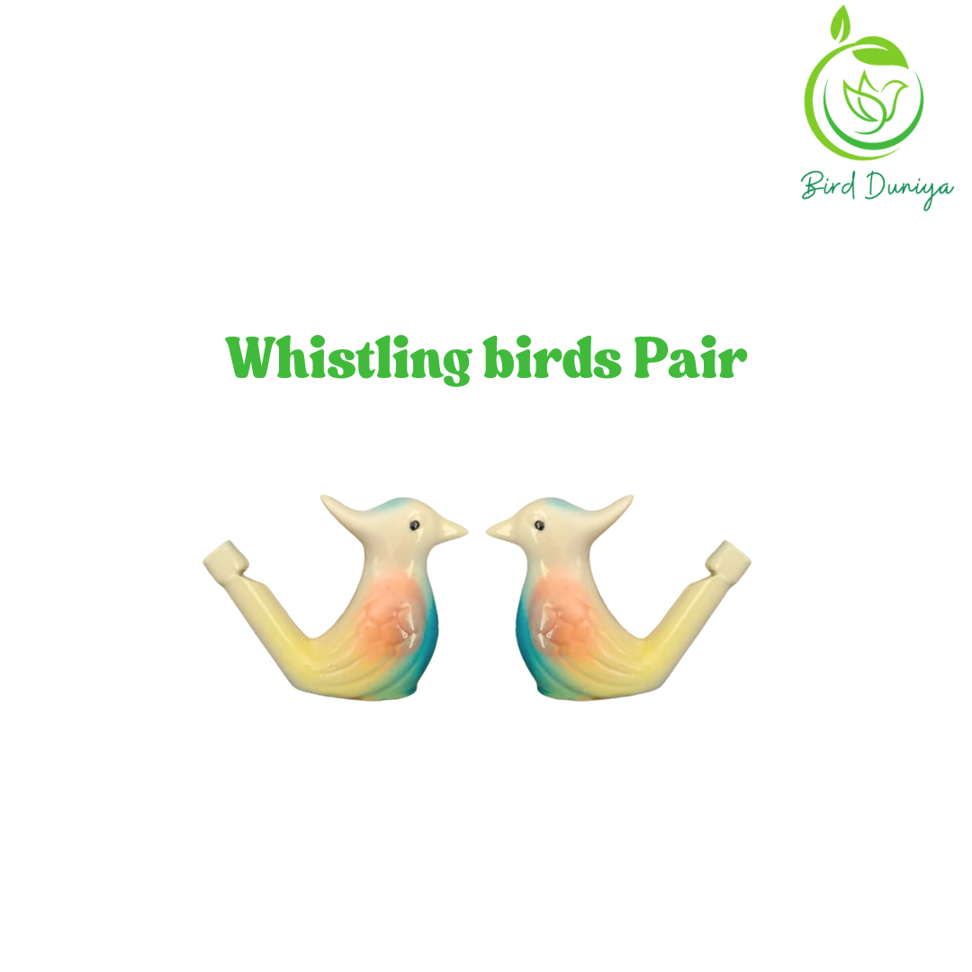 bird whistle
