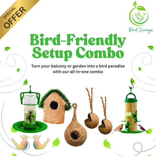 Bird Duniya Bird-Friendly Setup Combo