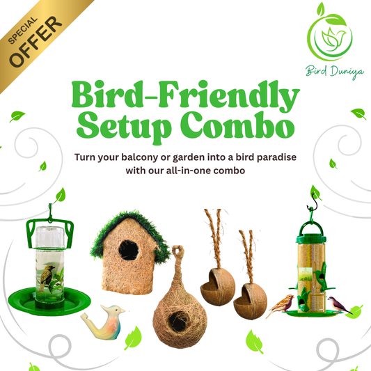 Bird Duniya Bird-Friendly Setup Combo