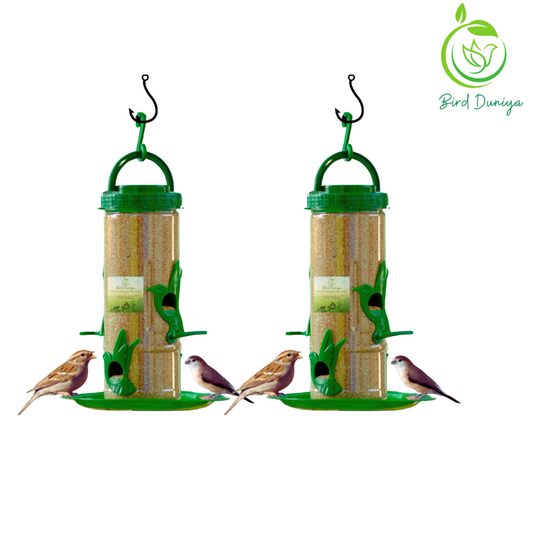 bird feeder, best bird feeder, hexagon shaped bird feeder, birds feed, birdfood, good quality,all seasoned, save birds, birdwatching, birdlove, birds of india,urban birdwatching, birding