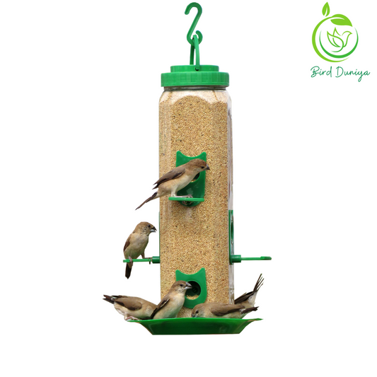 bird feeder, best bird feeder, hexagon shaped bird feeder, birds feed, birdfood, good quality,all seasoned, save birds, birdwatching, birdlove, birds of india,urban birdwatching, birding