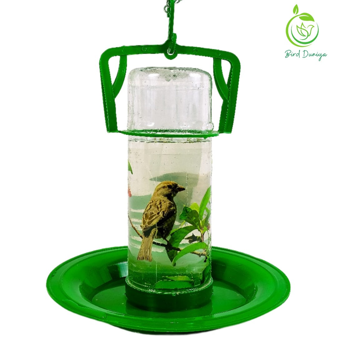 water bird feeder