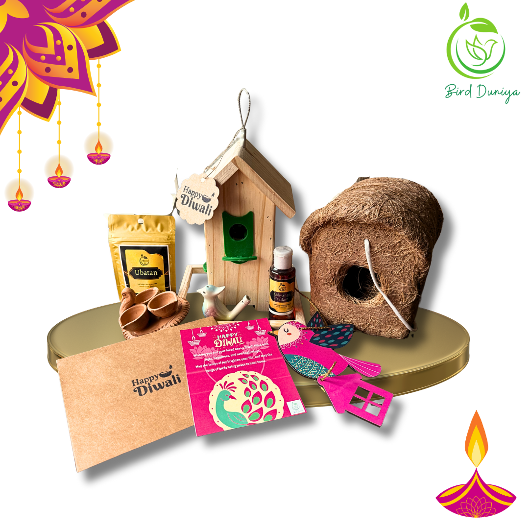 Bird Duniya Diwali Combo – Gift Joy, Nature &amp; Tradition